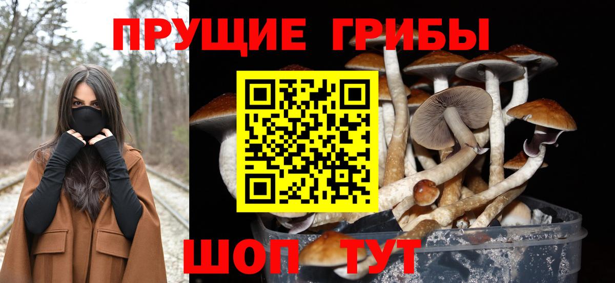Псилоцибиновые грибы Magic Shrooms Подольск