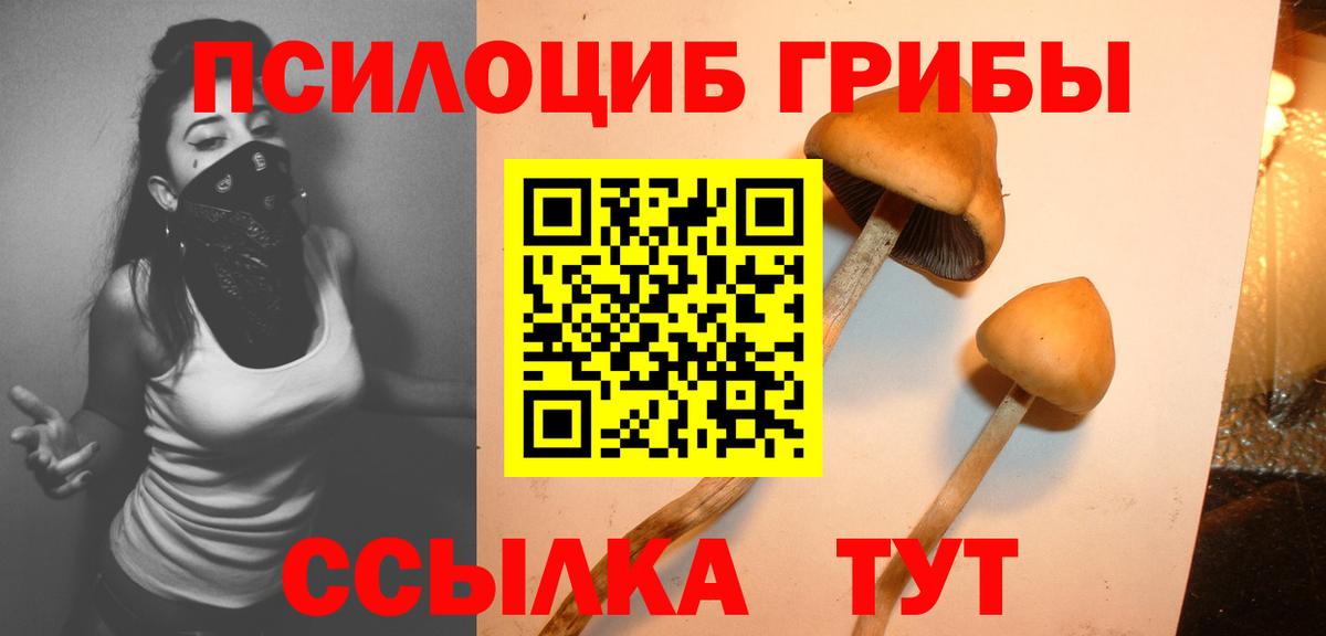 Подольск  Псилоцибиновые грибы Psilocybe  Вход с VPN 